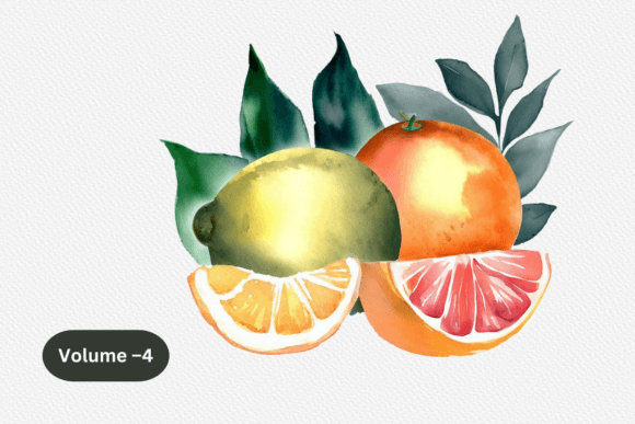 Download Watercolor Citrus Clipart,Fruits Clipart - Art Collection