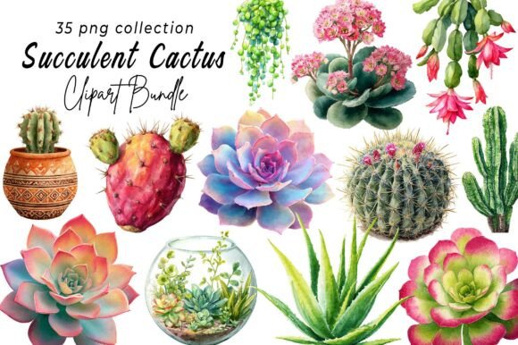 Download Succulent Clipart, Cactus Png - Art Collection