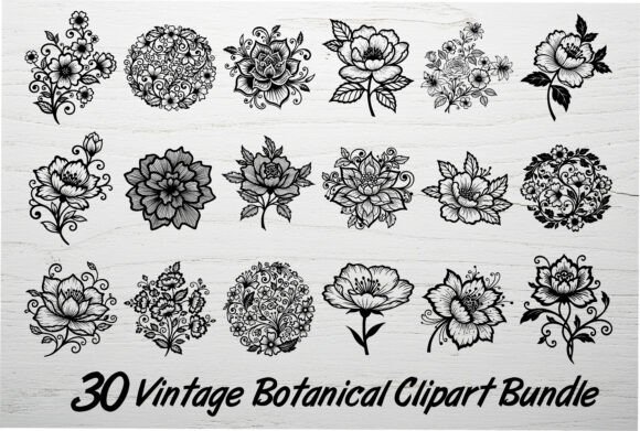 Download 30 Vintage Botanical Clipart Bundle - Art Collection