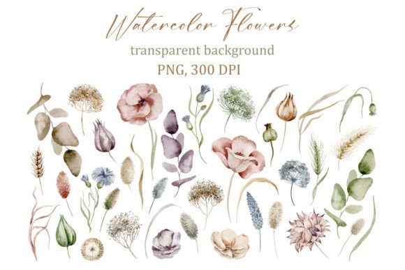 Download Delicate Watercolor Floral Elements, PNG - Element Collection