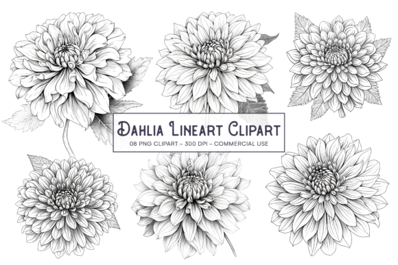 Download Dahlia Line Art Flower PNG Sublimation - Art Collection