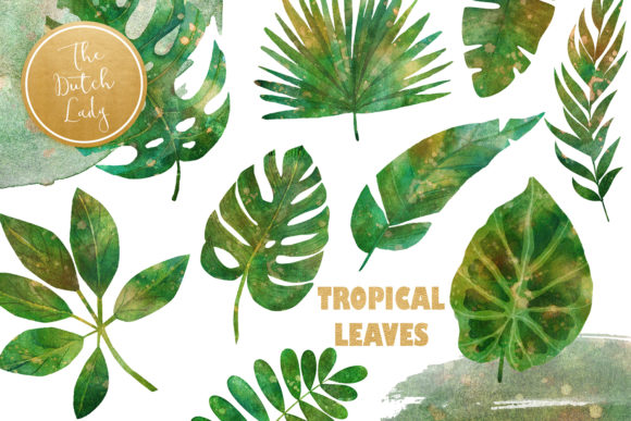 Download Tropical Jungle Leaves Clipart Set - Art Collection
