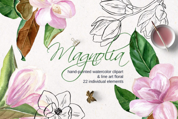 Download Pink Magnolia Watercolor, Lineart Flower - Art Collection