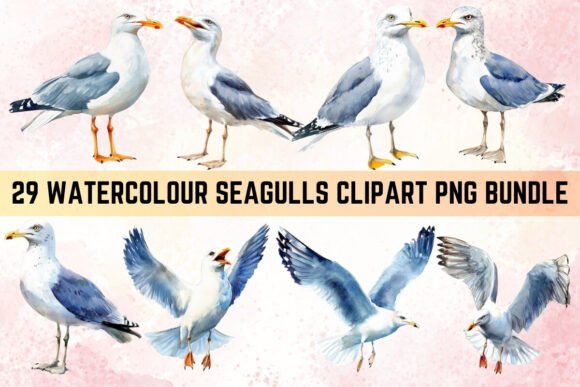 Download Watercolor Seagulls Clipart PNG Bundle - Art Collection