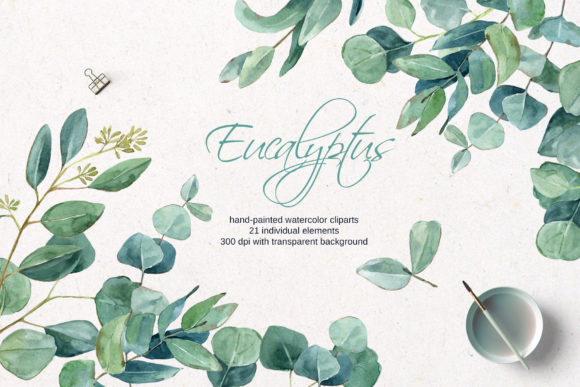 Download Watercolor Eucalyptus Clipart - Art Collection