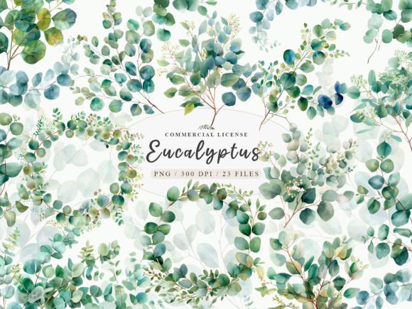 Download Eucalyptus Bundle, Eucalyptus Clipart - Art Collection