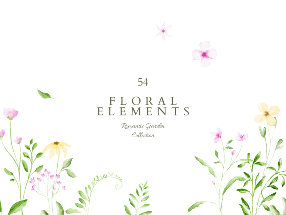 Download Watercolor Floral Elements Clipart - Element Collection