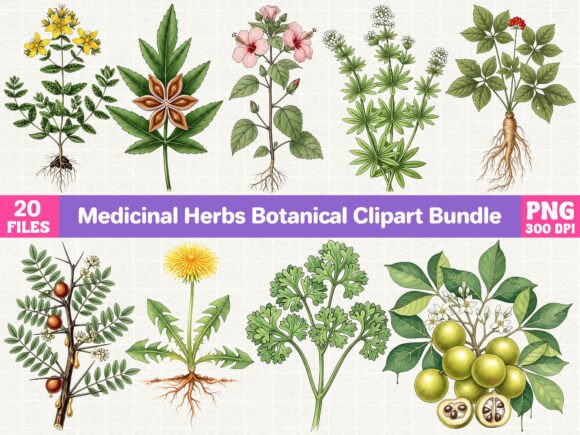 Download Medicinal Herbs Botanical Clipart Bundle - Art Collection